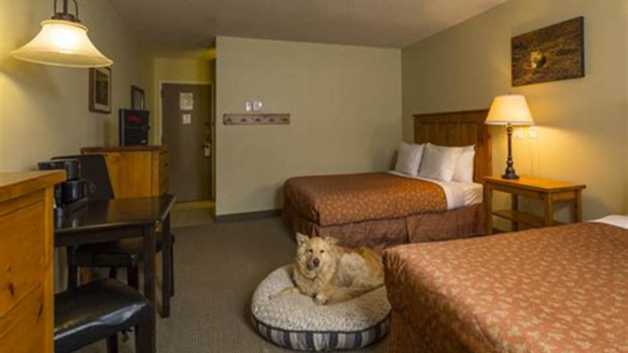 Spacious Rooms, Pet Friendly Hotel