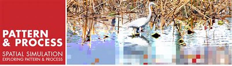 Spatial Simulation Exploring Pattern And Process