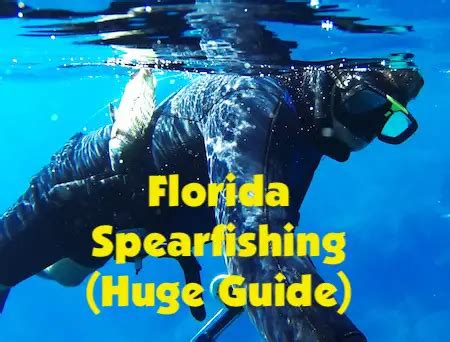 Spearfishing Regulations in Destin, Florida