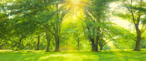 Spending Time Outdoors