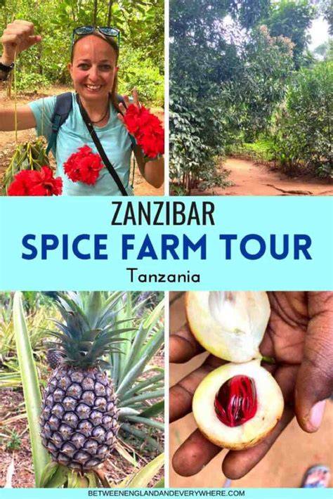 Spice Farm Tips