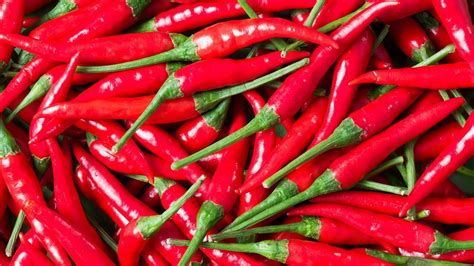 Burning Love: Indulge in the Ultimate Culinary Heat with the Spiciest Food in the World