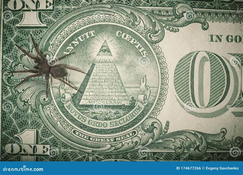 lawas blogs american 1 dollar bill spider