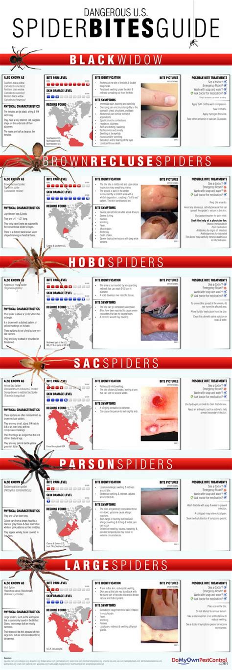 Spider Bite Chart