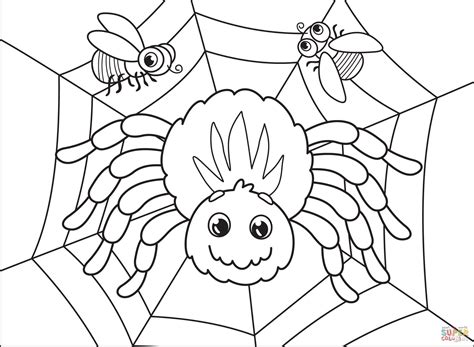 Spider Coloring Sheet Free Printable
