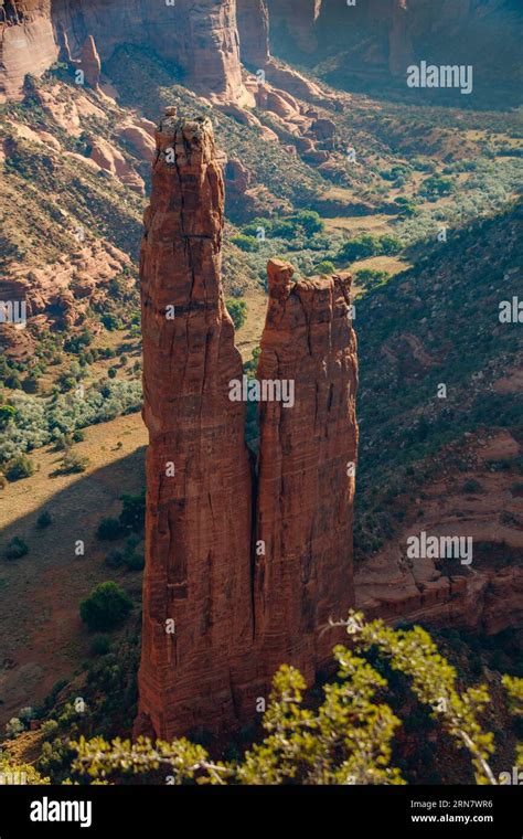 Spider Rock Rim View