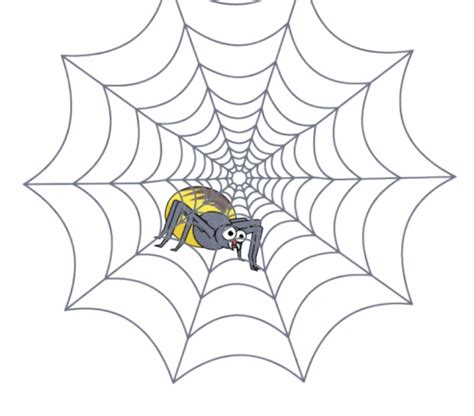 Captivating Spider Web Animation: A Unique Way to Enhance your Website Design