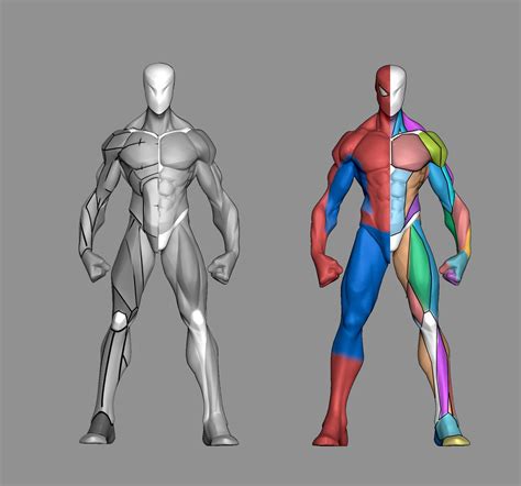 Spiderman Anatomy Drawing