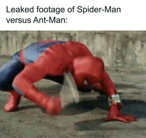 Spiderman Memes Clean