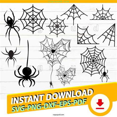 Download Spiderweb Design Set SVG File - SVG Design Silhouette for Cricut