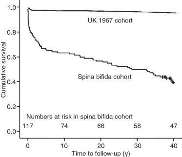 Spina Bifida 10 Causes of Spina Bifida