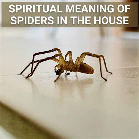 Spiritual meaning of a spider crawling on you. The spider uses