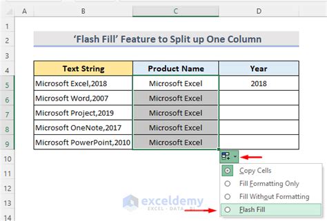 Split Cell in Excel Using Flash Fill