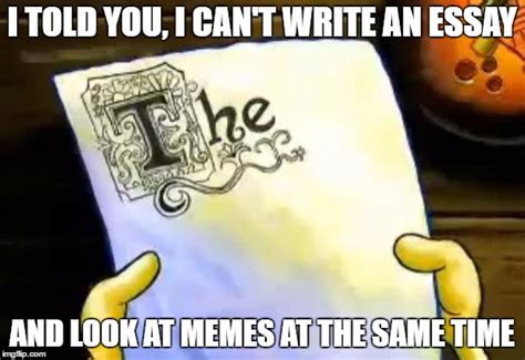 Spongebob Meme Essay