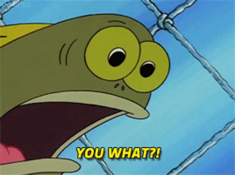 Spongebob Meme You What