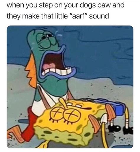 Spongebob Memes Clean