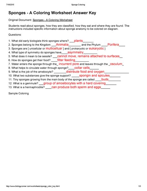 Sponges A Coloring Worksheet Questions Answers