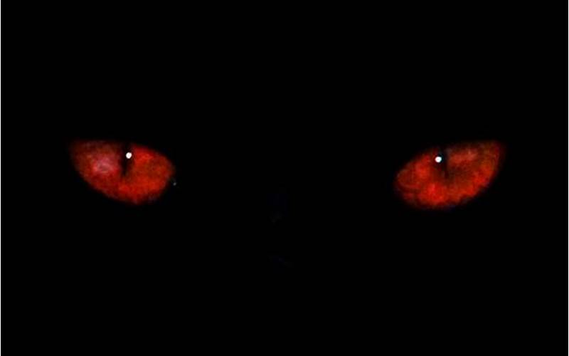 Spooky Designs With Red Glowing Eyes
