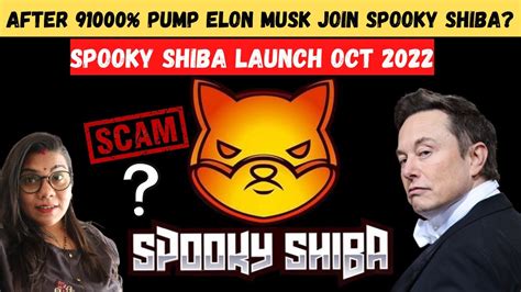 Spooky Shiba Conclusion