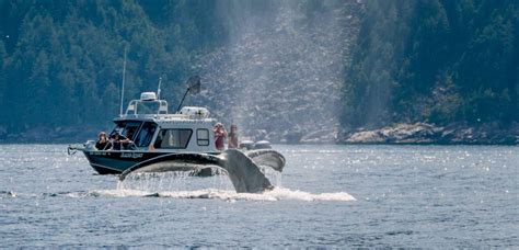 Spotlight Ecological Excursions