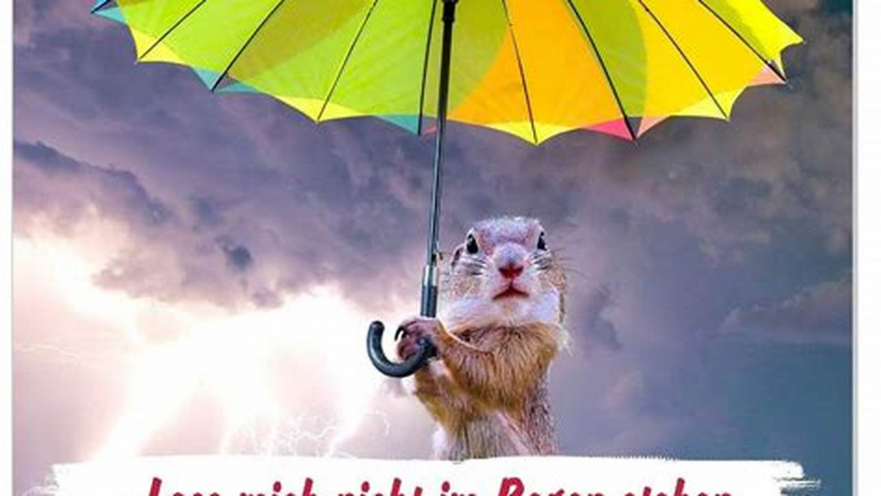 Lustige Sprüche Regen: Die ultimative Sammlung für gute Laune an trüben Tagen