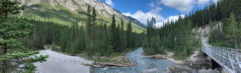 Spray River trail view