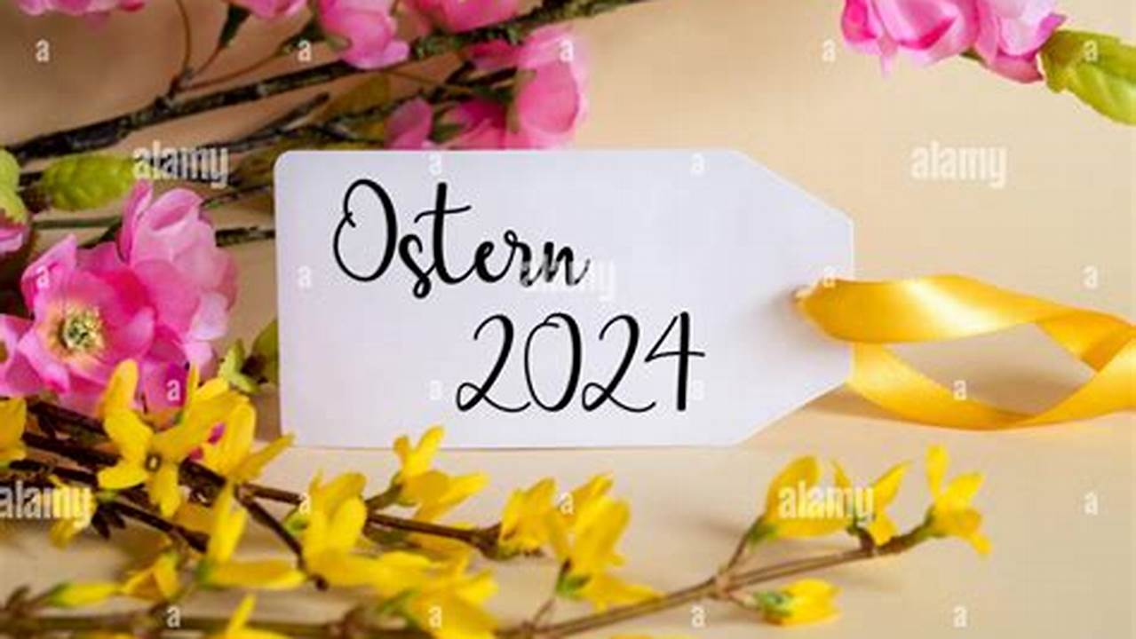 Spring 2024 Means