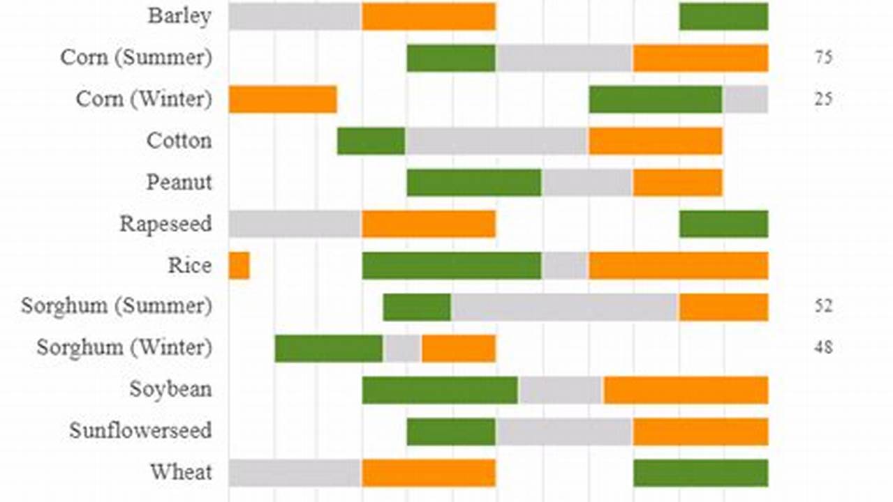 Spring 2024 Rice Calendar