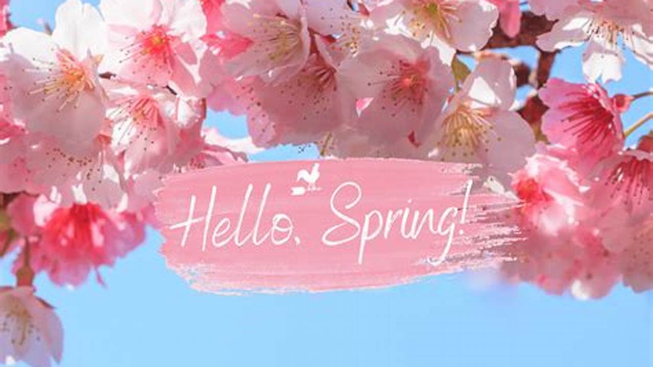 Spring 2025 Uk