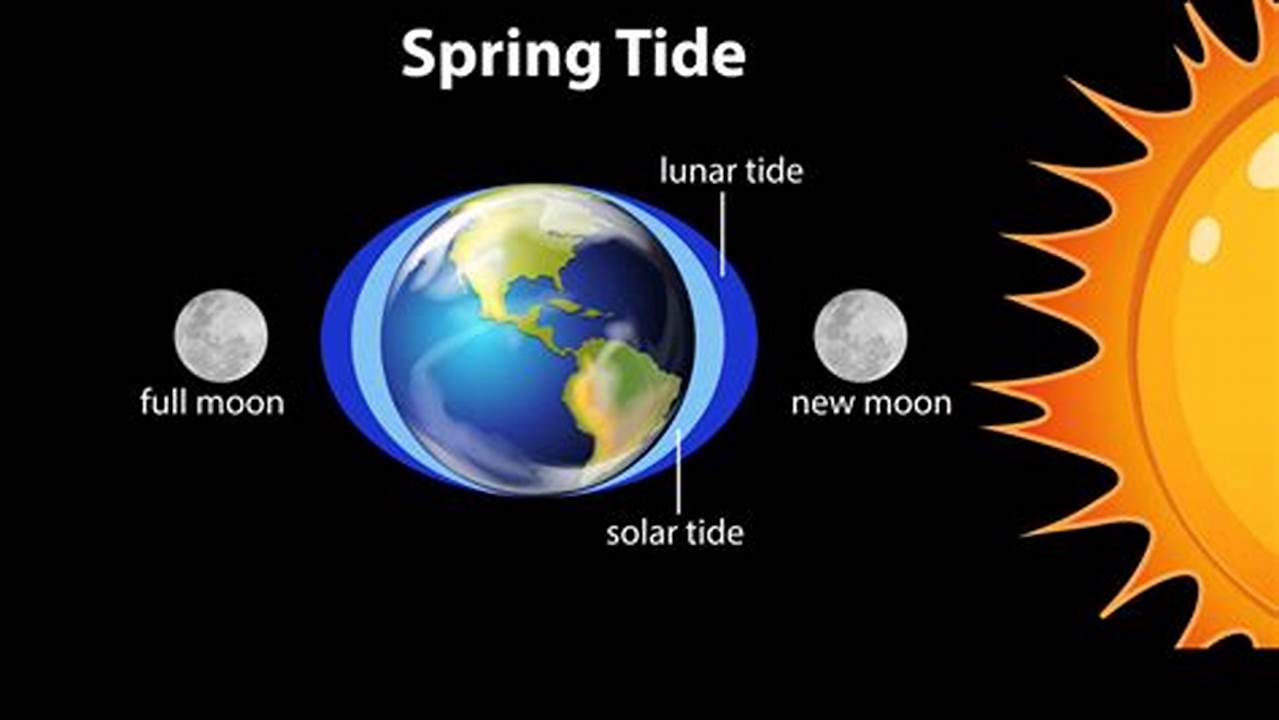 Spring And Neap Tides 2025 Usa