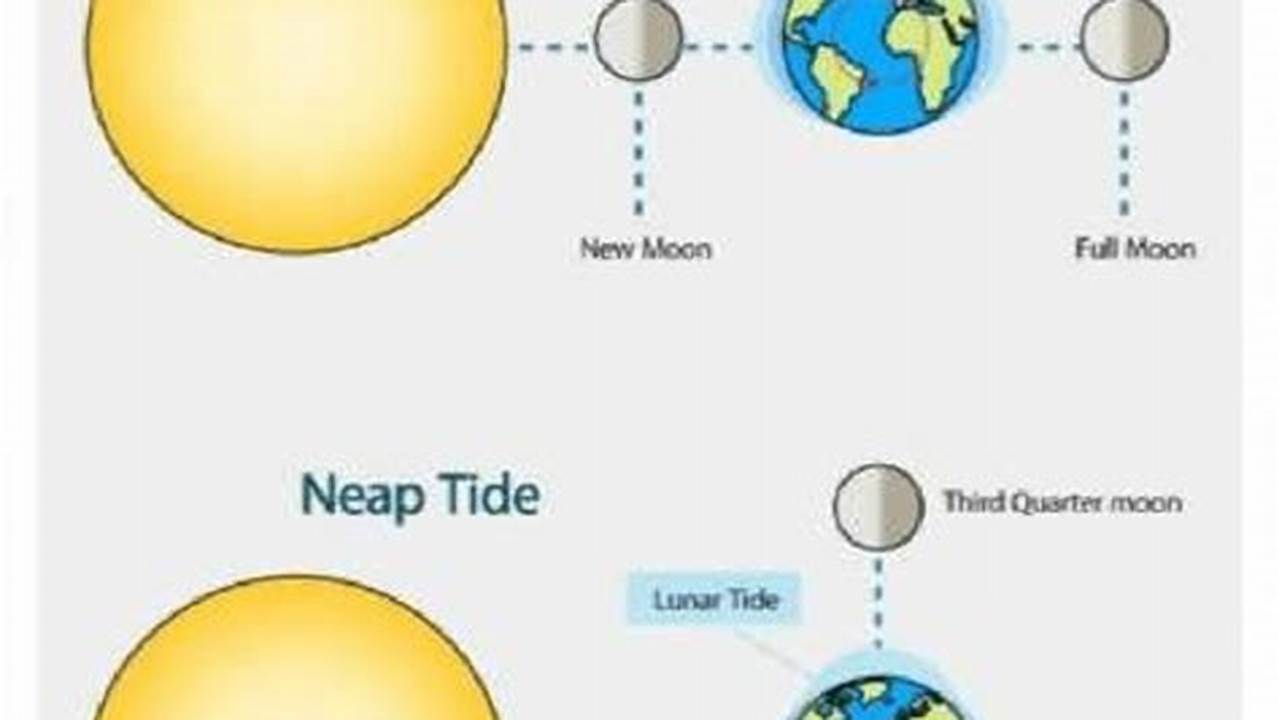Spring And Neap Tides 2024
