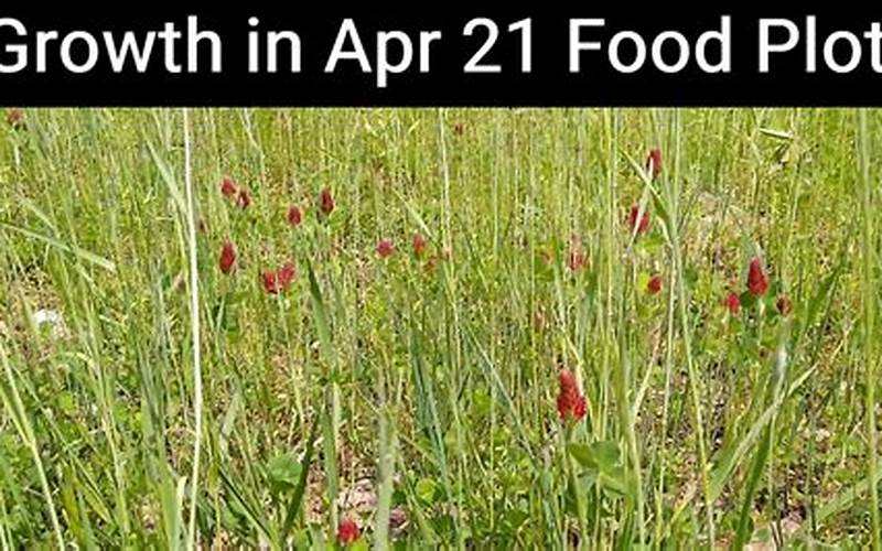 Spring Food Plot Planting Dates