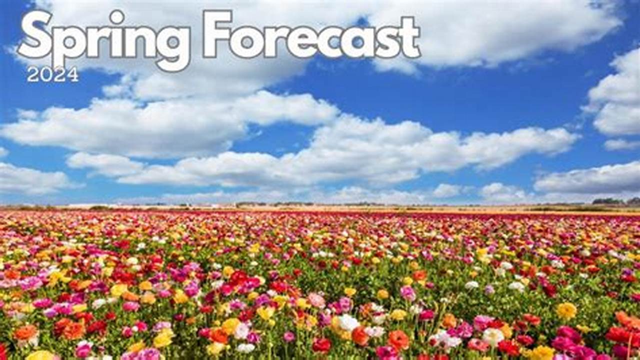 Spring Forecast 2024