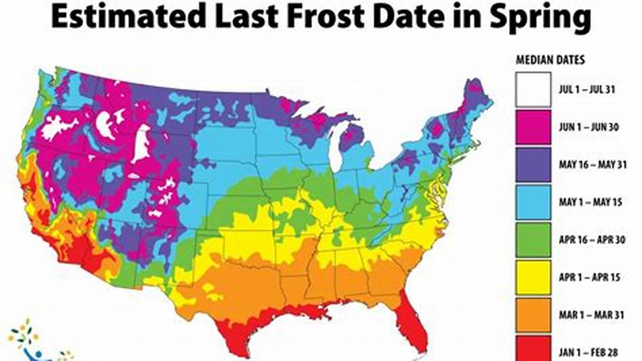 Spring Frost Free Date 2024
