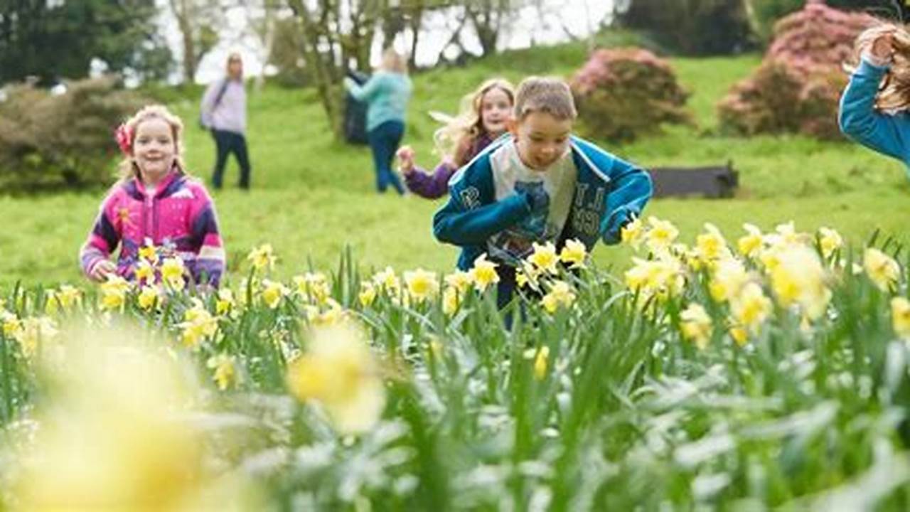 Spring Half Term 2024 Cardiff