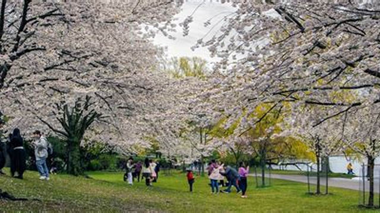 Spring In Canada 2024