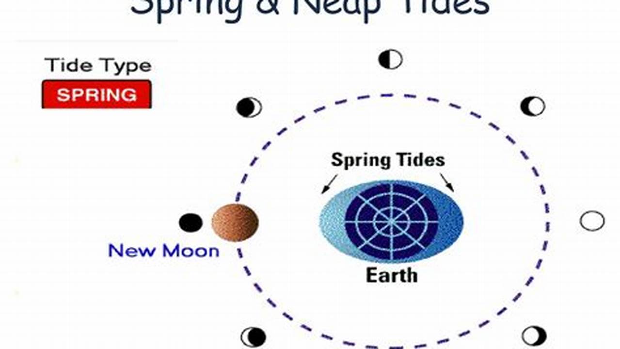Spring Neap Tides 2024 Dates