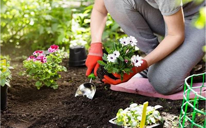 Spring Planting