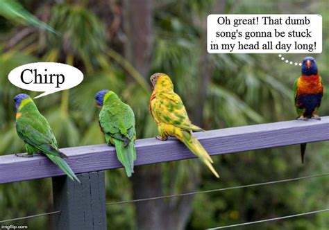 Spring: the season where birds chirp melodies and tell hilarious jokes!