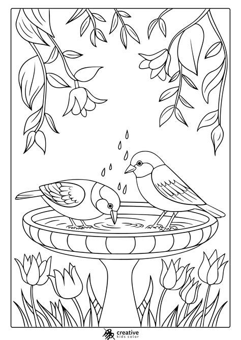 Spring Birds Coloring Pages