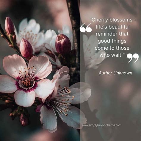 Spring Blossom Quotes