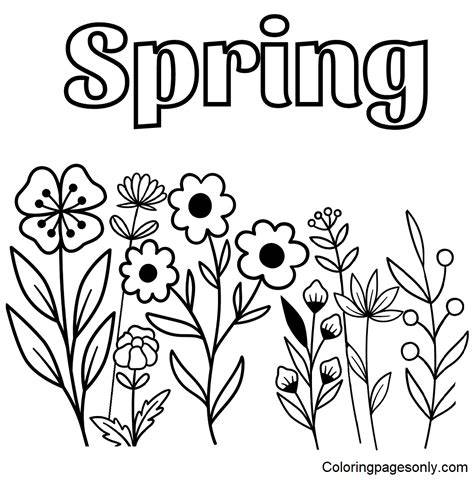 Spring Coloring Pages Flowers