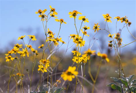 Spring Equinox 2024 Central Time