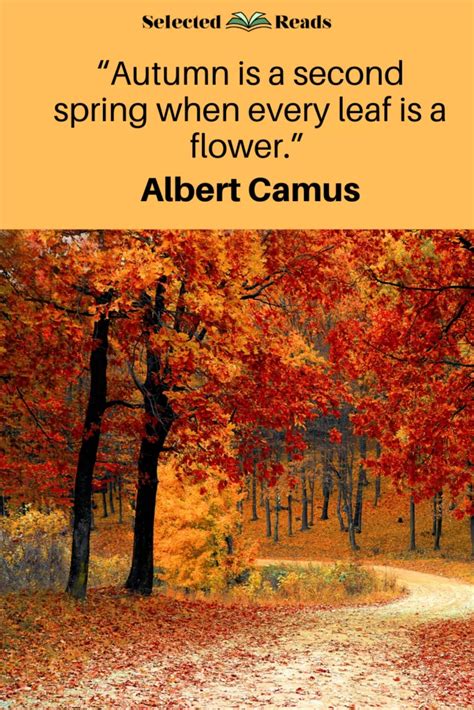 Spring Fall Quotes