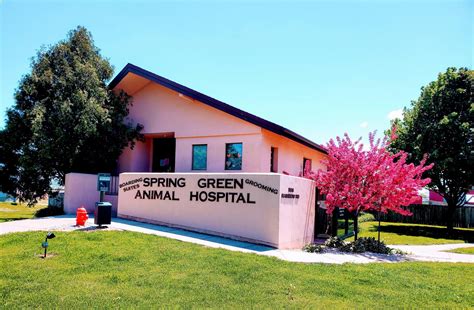 Expert Veterinary Care and Compassionate Service at Spring Green Animal Hospital