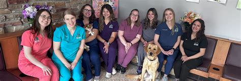 Discover Why Spring Harbor Animal Hospital Reviews are Raving - Leading Veterinary Care Near You