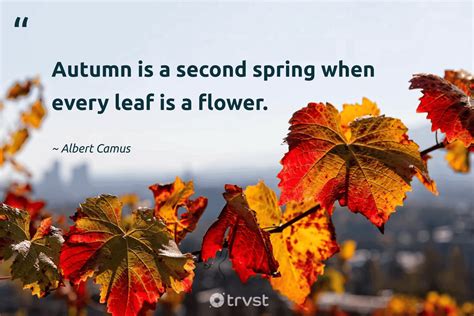 Spring Leaves Quotes