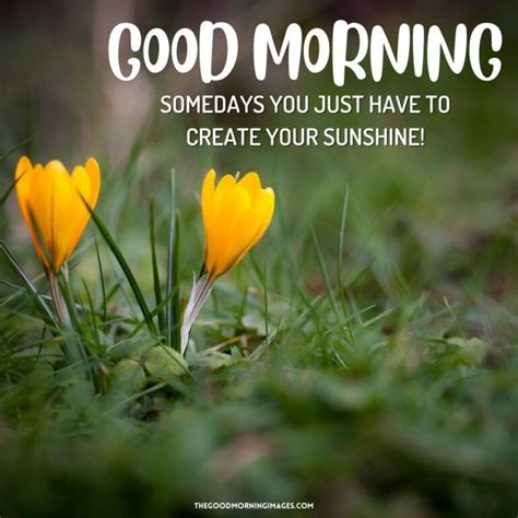 Spring Morning Quotes