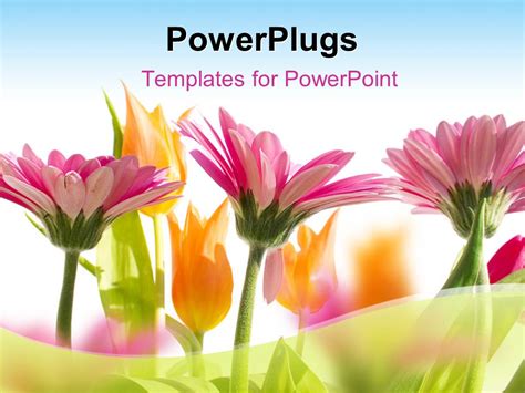 Spring Powerpoint Templates