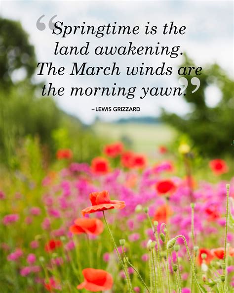 Spring Quotes Goodreads